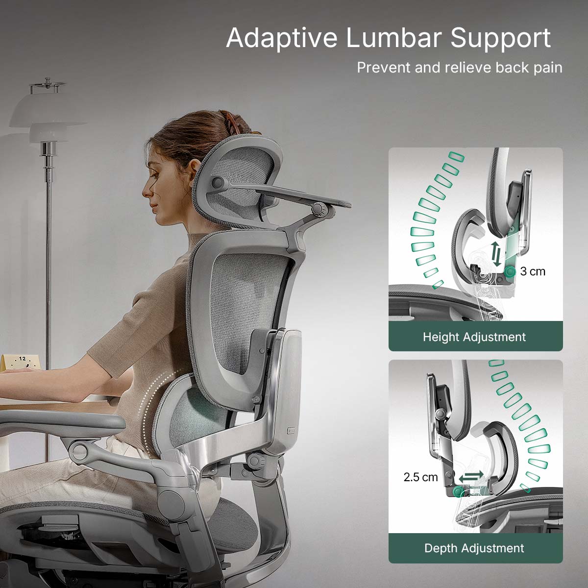 Hinomi H2 Pro Ergonomic Home Office Chair with Optional Footrest